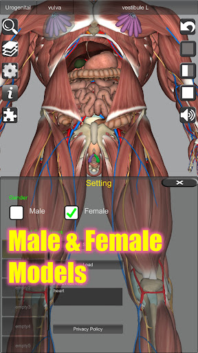 3D Anatomy Bildschirmfoto 6