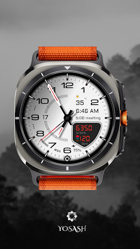 D355 Premium Zifferblatt Bildschirmfoto 16
