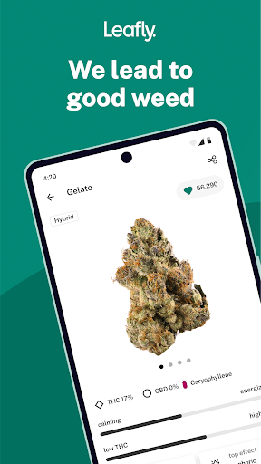 Leafly: Find Cannabis and CBD Bildschirmfoto 1