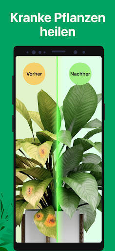 PictureThis:Pflanzen bestimmen Bildschirmfoto 3