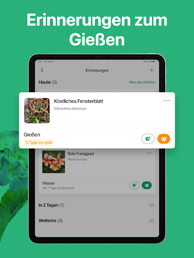 PictureThis:Pflanzen bestimmen Bildschirmfoto 8