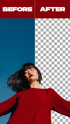Remove Background From Video Bildschirmfoto 5