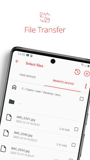 AnyDesk Remote-Desktop Bildschirmfoto 1