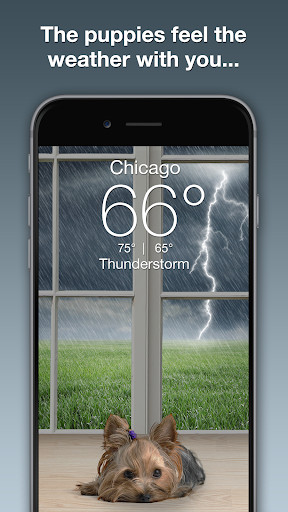 Weather Puppy - App & Widget Bildschirmfoto 6