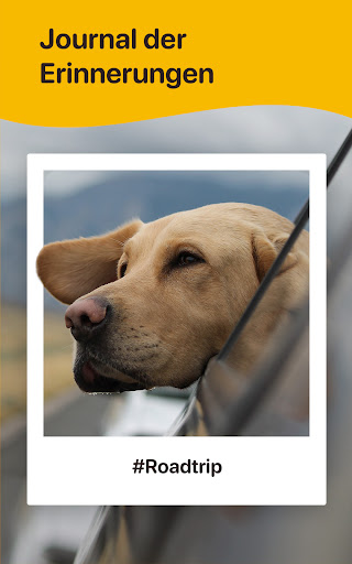 Woofz - Smartes Hundetraining Bildschirmfoto 17