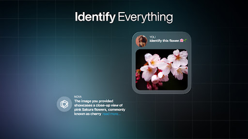 AI Chatbot - Nova Bildschirmfoto 24