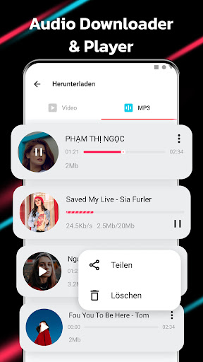Video Downloader für TT Bildschirmfoto 2