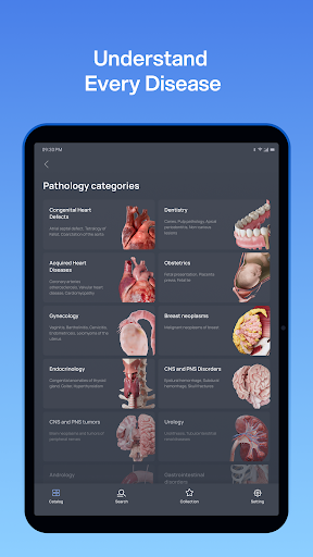 VOKA 3D Anatomie Atlas Lernen Bildschirmfoto 10