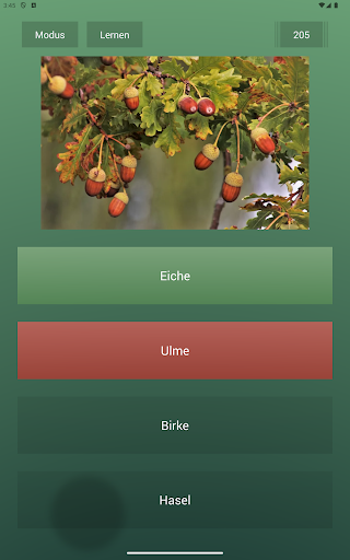 Endlos-Quiz Pro Bildschirmfoto 5