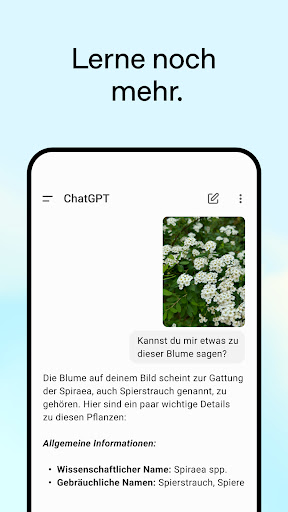 ChatGPT Bildschirmfoto 12