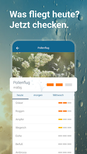 Wetter Online - RegenRadar Bildschirmfoto 5