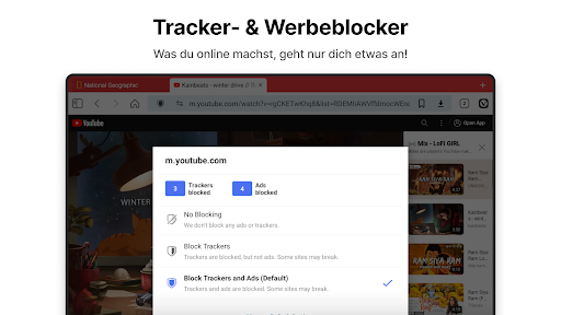 Vivaldi Browser–Schnell&Sicher Bildschirmfoto 13