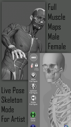 Pose Tool 3D Bildschirmfoto 9