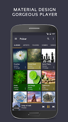 Pulsar Musik-Spieler Pro Bildschirmfoto 10