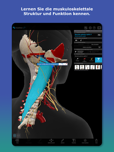 Atlas der Humananatomie 2026 Bildschirmfoto 6