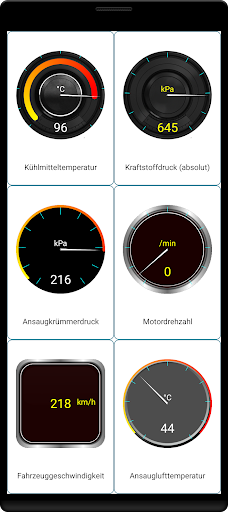 Tor OBD2 Diagnose Bildschirmfoto 5