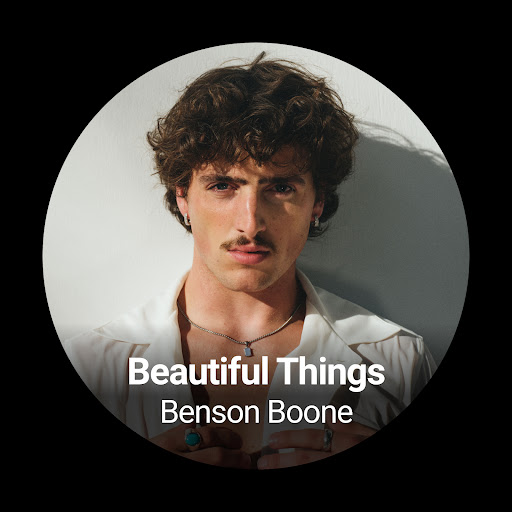 Shazam: Finde Musik, Konzerte Bildschirmfoto 2