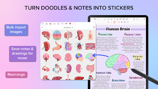 Penly: Digital Planner & Notes Bildschirmfoto 23
