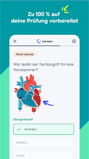 Quizlet: Karteikarten mit KI Bildschirmfoto 2