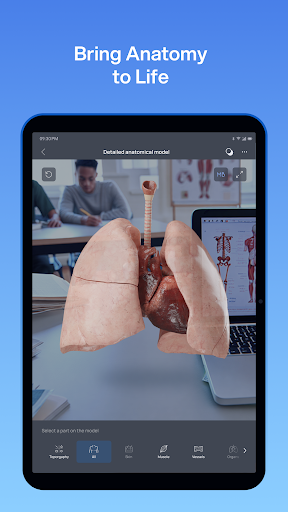 VOKA 3D Anatomie Atlas Lernen Bildschirmfoto 15