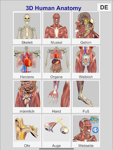 3D Anatomy Bildschirmfoto 14