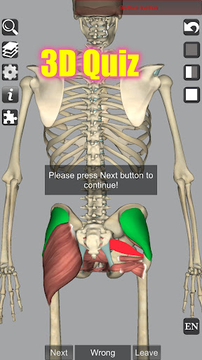 3D Anatomy Bildschirmfoto 5