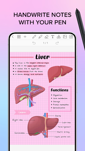 Penly: Digital Planner & Notes Bildschirmfoto 17