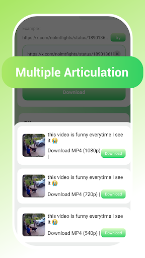 Video Download Bildschirmfoto 4