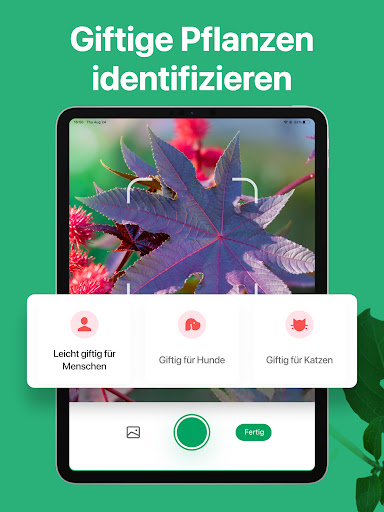 PictureThis:Pflanzen bestimmen Bildschirmfoto 7