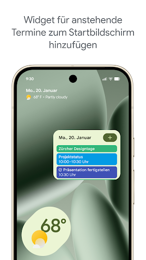 Google Kalender Bildschirmfoto 7