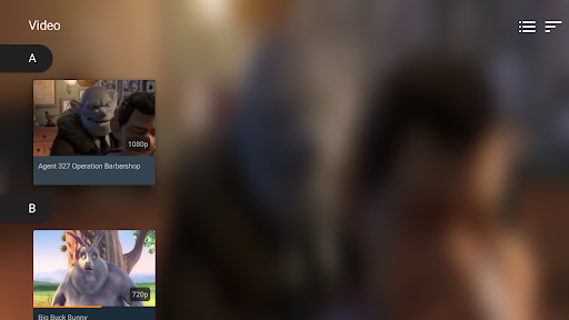 VLC for Android Bildschirmfoto 19
