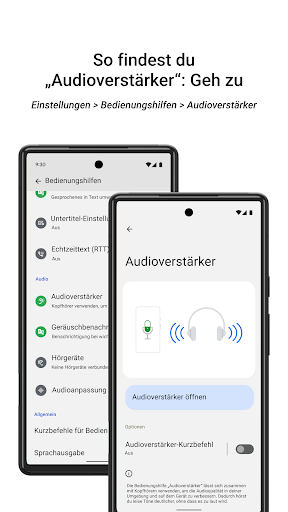 Audioverstärker Bildschirmfoto 3
