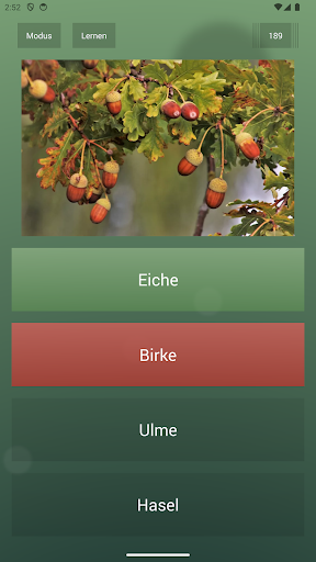 Endlos-Quiz Pro Bildschirmfoto 6