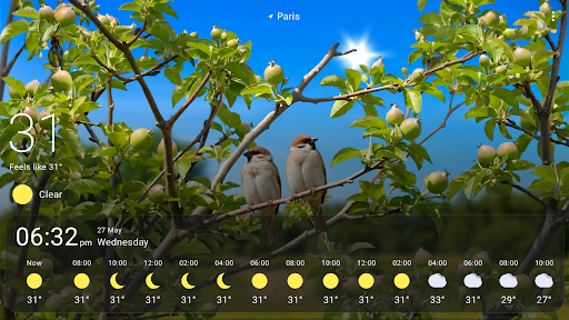 Wetter Live Wallpaper Bildschirmfoto 9