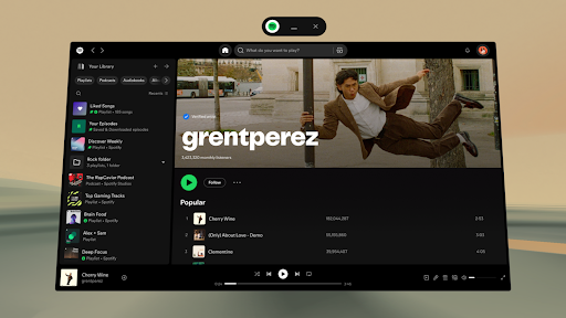 Spotify: Musik und Podcasts Bildschirmfoto 13