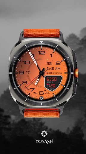D355 Premium Zifferblatt Bildschirmfoto 15