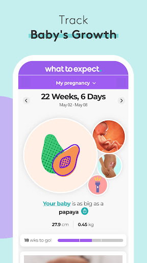 Pregnancy Tracker & Baby App Bildschirmfoto 2