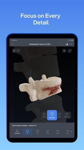 VOKA 3D Anatomie Atlas Lernen Bildschirmfoto 9