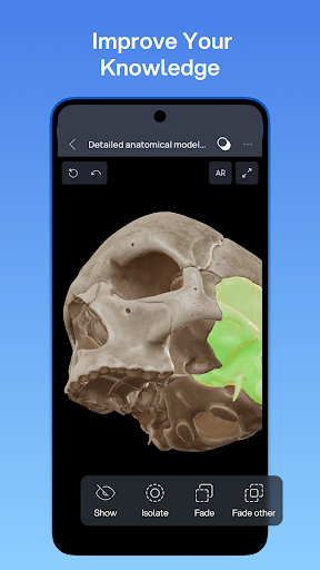 VOKA 3D Anatomie Atlas Lernen Bildschirmfoto 11