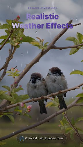 Wetter Live Wallpaper Bildschirmfoto 11