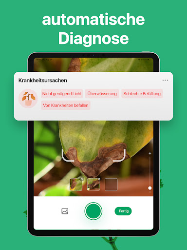 PictureThis:Pflanzen bestimmen Bildschirmfoto 11