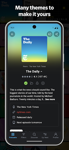 Pocket Casts - Podcast App Bildschirmfoto 7