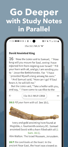 Bible App by Olive Tree Bildschirmfoto 4