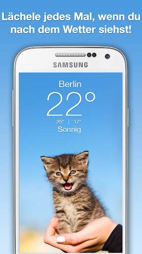 Weather Kitty Bildschirmfoto 1